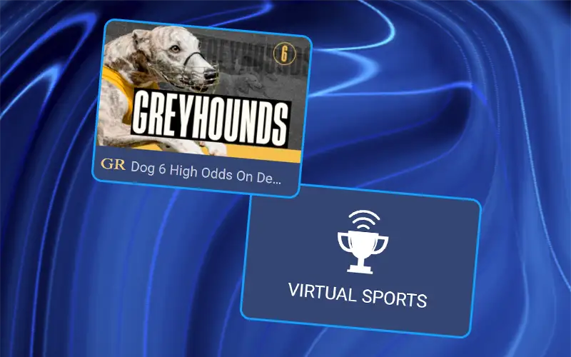 Place bets on virtual sports in the 1xBet app.