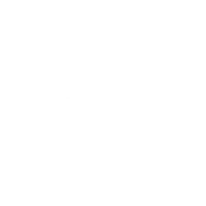 Evolution Gaming Logo.