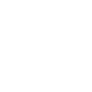 Spribe Logo.